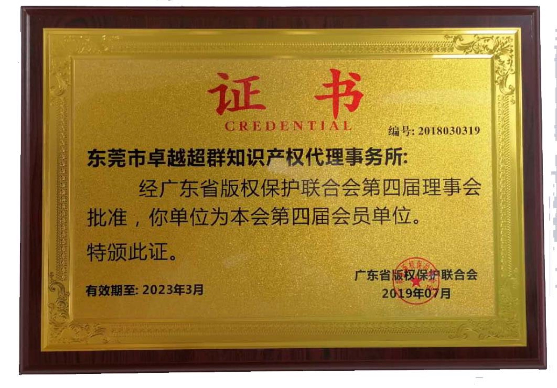 Fourth Council Member of the Guangdong Copyright Protection Association